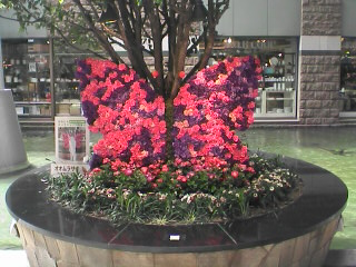 100410_1147~01.jpg