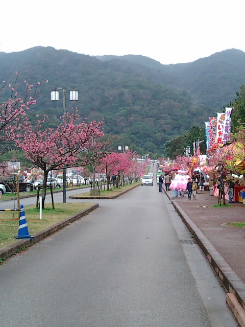 20100206132238.jpg