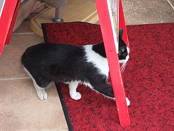 DSCF7996.JPG