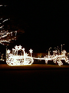 200612132225001.jpg