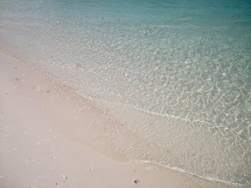 isigaki%20160.jpg