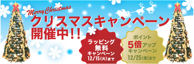 クリスマスキャンペーン 2009
