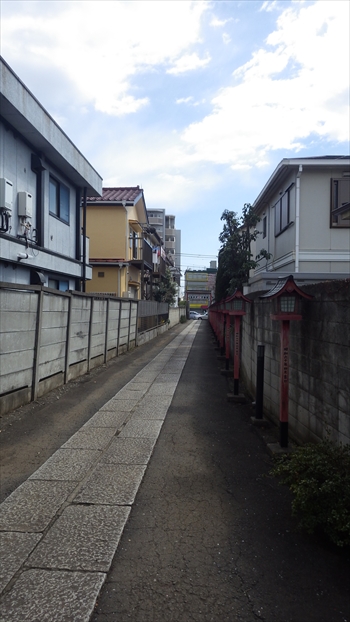 IMGP1139_R.JPG