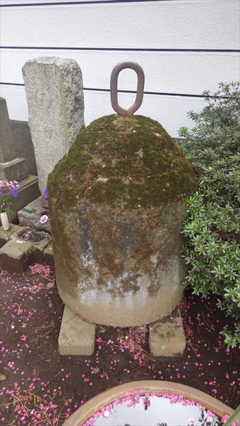 IMGP1177_R.JPG