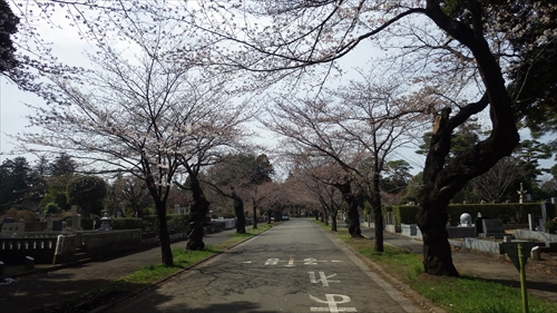 IMGP1194_R.JPG