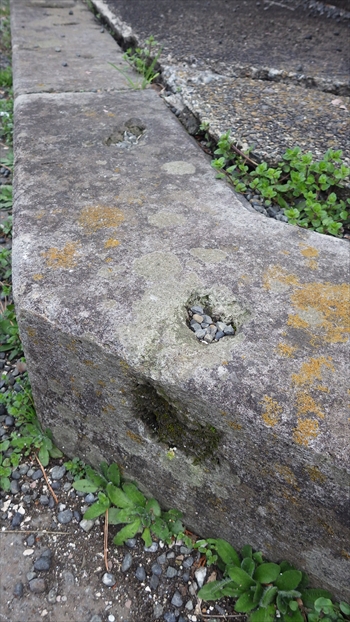 IMGP1197_R.JPG