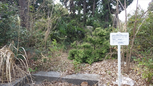 IMGP1213_R.JPG
