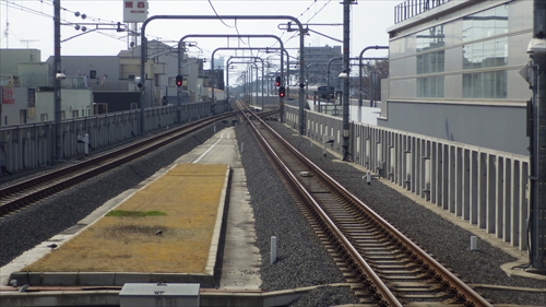 IMGP1232_R.JPG
