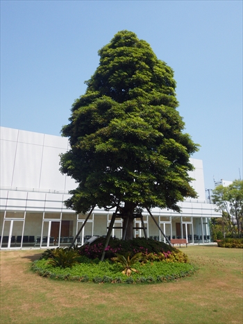IMGP1735_R.JPG