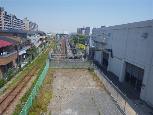 IMGP1820_R.JPG