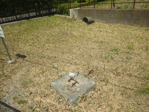 IMGP1834_R.JPG