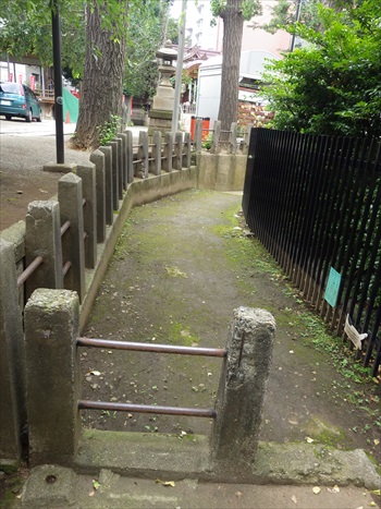 IMGP2339_RRr.JPG