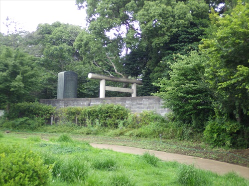 IMGP2368_RRr.JPG