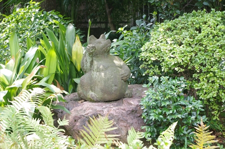 IMGP3948_R.JPG
