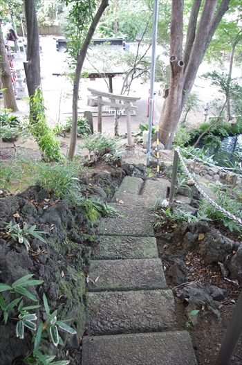 IMGP4125_R.JPG