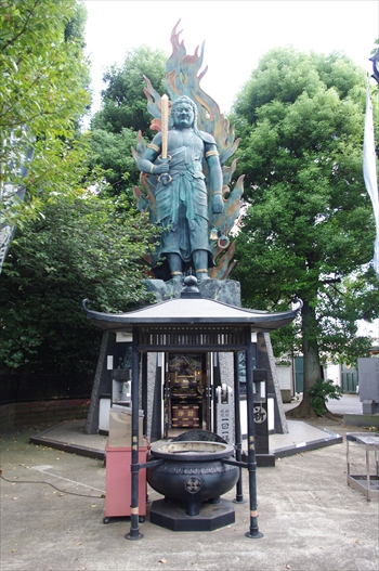 IMGP4152_R.JPG
