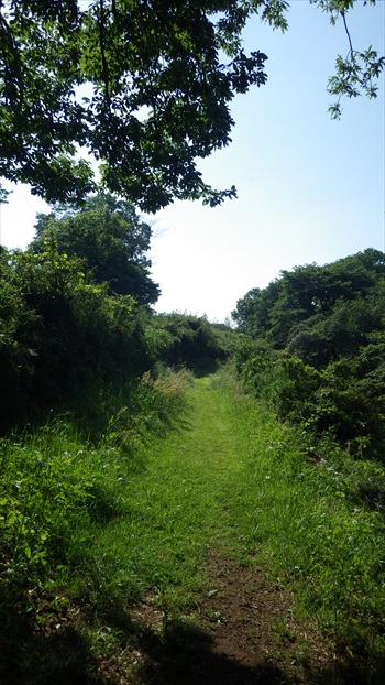 IMGP4219_Rr.JPG