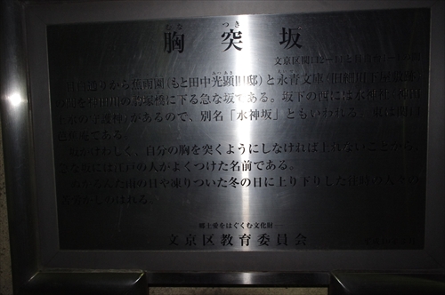 IMGP4419_R.JPG