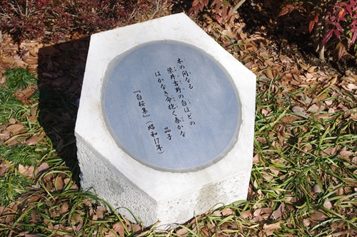 IMGP4785_R.JPG
