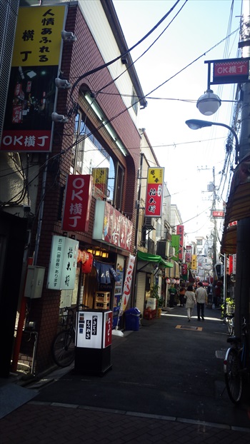 IMGP4922_Rr.JPG