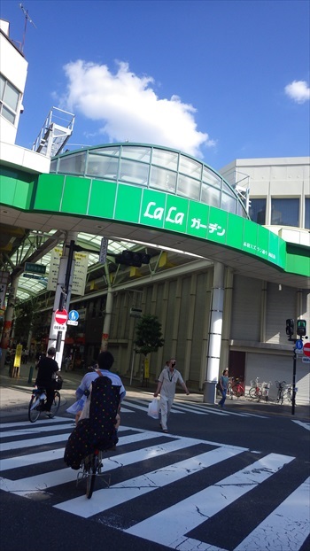 IMGP4923_Rr.JPG