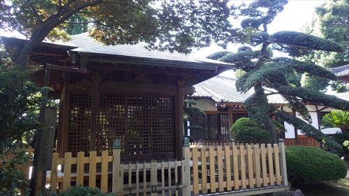 IMGP4933_Rr.JPG