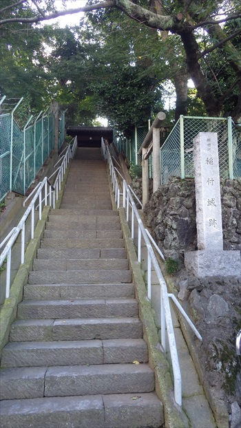 IMGP4934_Rr.JPG
