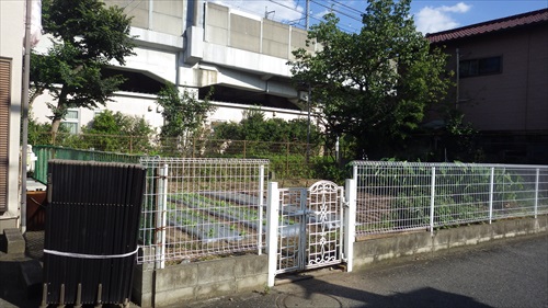 IMGP4936_Rr.JPG