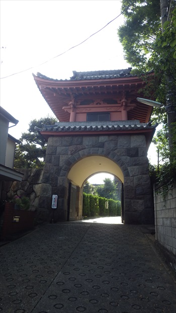 IMGP4939_Rr.JPG