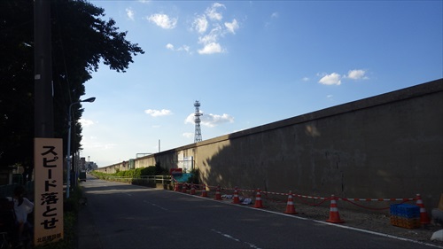 IMGP4951_Rr.JPG