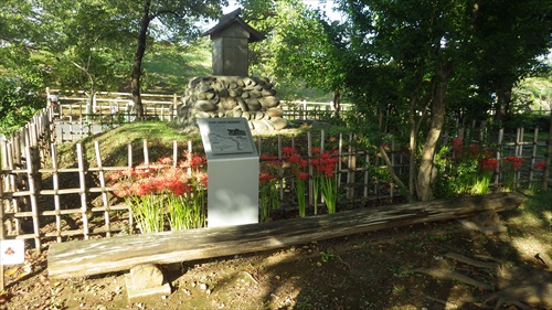 IMGP4963_Rr.JPG