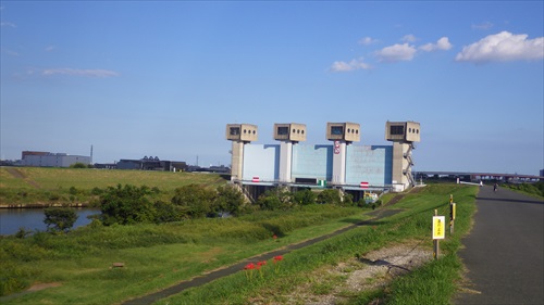IMGP4965_Rr.JPG