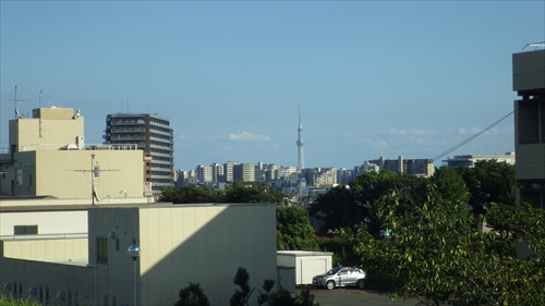 IMGP4966_Rr.JPG