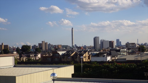 IMGP4967_Rr.JPG