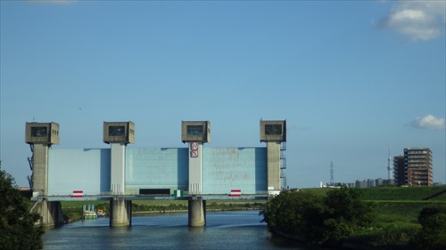 IMGP4975_Rr.JPG