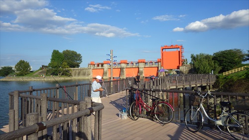 IMGP4978_Rr.JPG