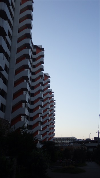 IMGP4995_Rr.JPG