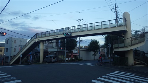IMGP5007_Rr.JPG