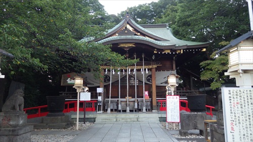 IMGP5010_Rr.JPG