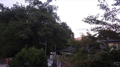 IMGP5016_Rr.JPG