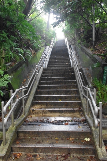 IMGP6066_R.JPG