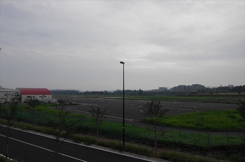 IMGP6377_R.JPG