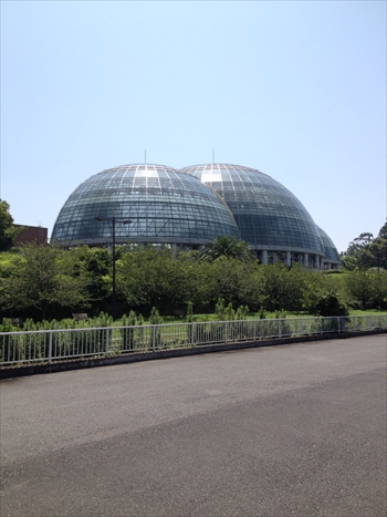 IMG_4987_Rr.JPG