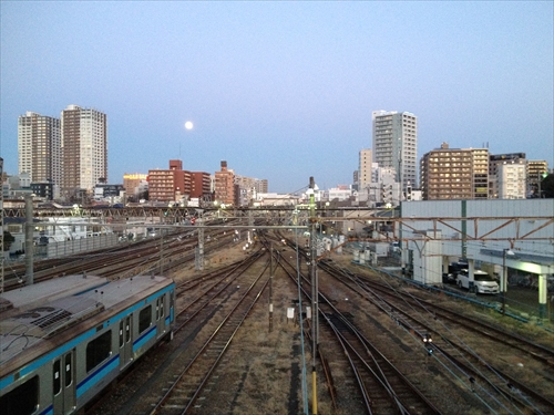 IMG_6252_Rr.JPG