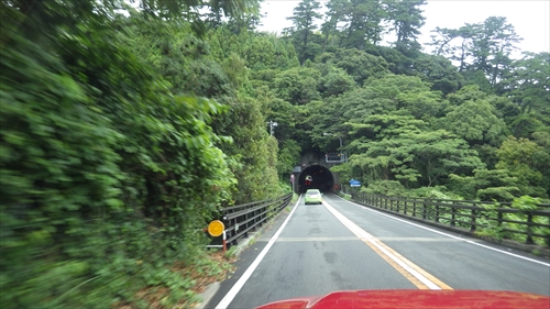 IMGP2635_Rr.JPG