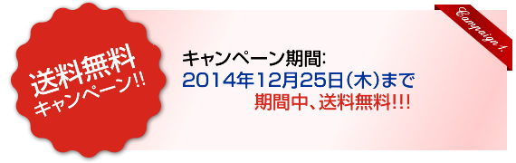 ڡ֡12/25ڡˤޤǡ桢̵